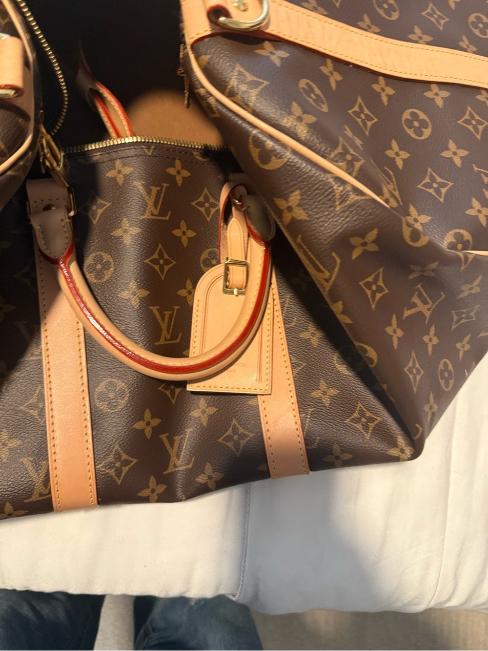 Louis Vuitton Monogram Canvas Travel Tote in Brown and Natural Vachetta